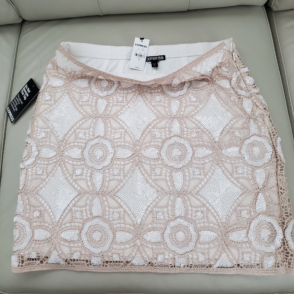 Express Skirt size 8